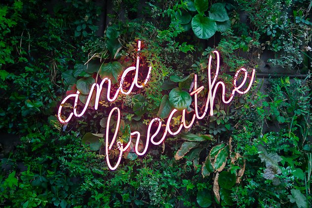 Home. BreatheMain