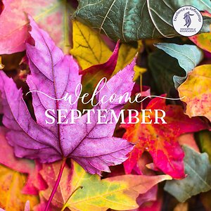 Home. september